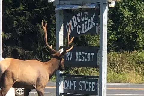 Circle Creek RV Park