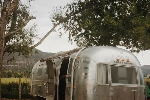 Basecamp 550