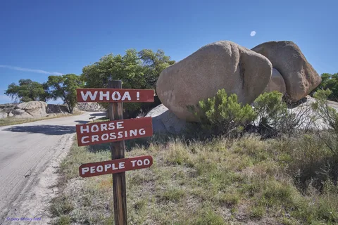 Triangle T Guest Ranch