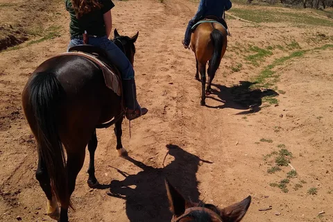 Pole Canyon Ranch