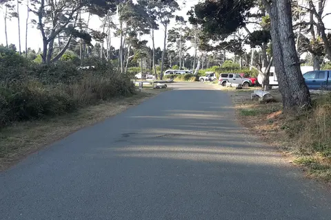 Surfwood - MacKerricher State Park