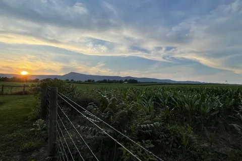 Spacious Skies Shenandoah Views