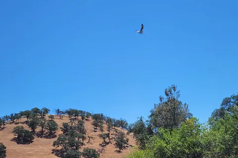 Lake McSwain Recreation Area - MID