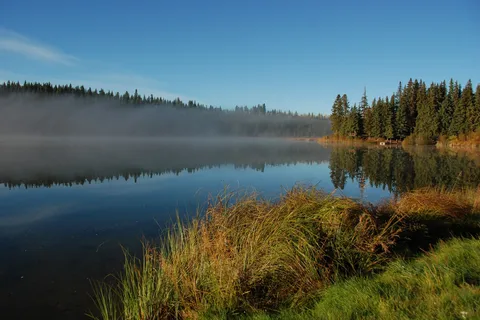 Fawn Lake Resort