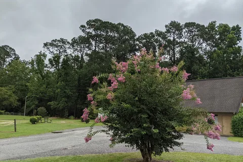 Parkwood RV Park and Cottages
