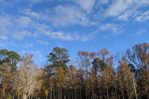 Parkwood RV Park and Cottages