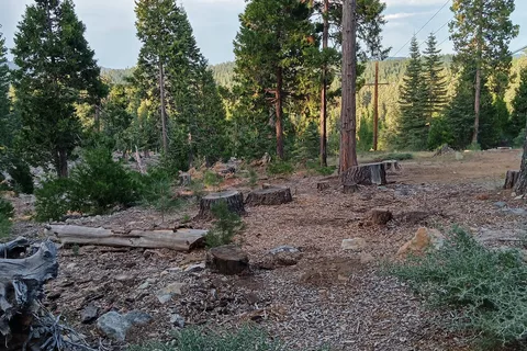 Golden Pines RV Resort and Campground