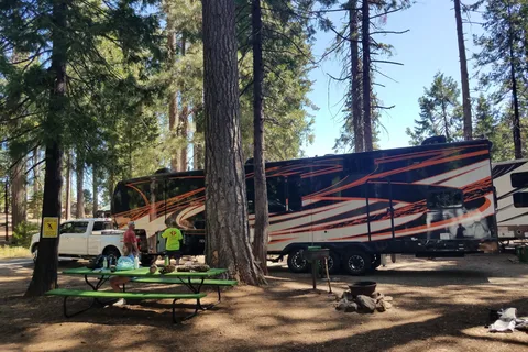 Golden Pines RV Resort and Campground