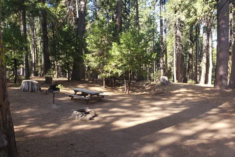 Golden Pines RV Resort and Campground