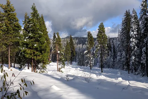 Golden Pines RV Resort and Campground