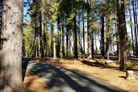 Golden Pines RV Resort and Campground