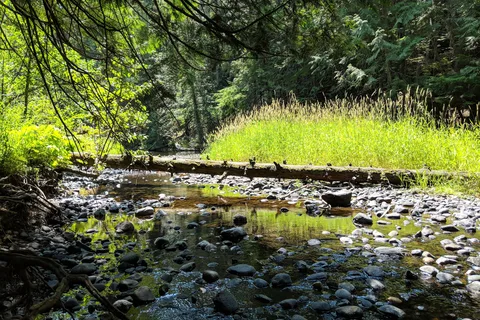 Round Lake State Park