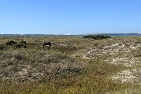 Cape Lookout National Seashore Beach