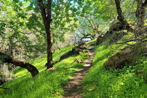 Lower Bayview - Clear Lake State Park