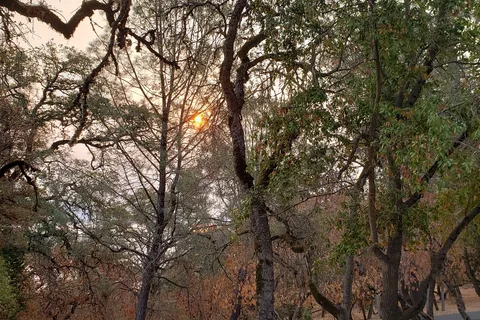 Lower Bayview - Clear Lake State Park