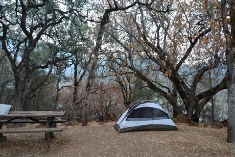 Lower Bayview - Clear Lake State Park