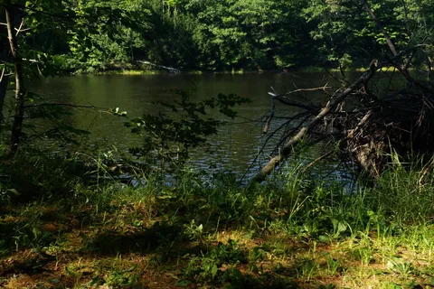 Homestead by the River Campground