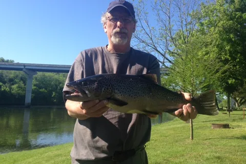 Blue Heron Campground and Resort