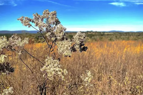 Willows At Watson RV Park | Experience Broken Bow