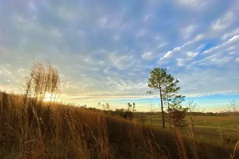 Willows At Watson RV Park | Experience Broken Bow