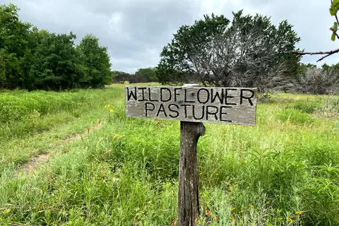 Trailhead Equestrian Camp - Hill Country State Natural Area