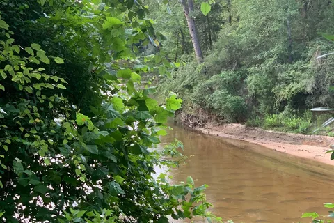 Alabama Wildwood RV