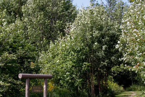 Owen Sound KOA Journey