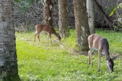 The Great Outdoors RV-Nature and Golf Resort