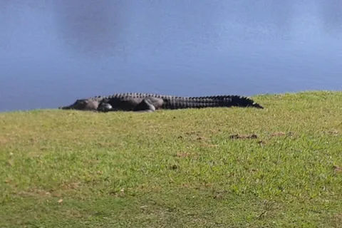The Great Outdoors RV-Nature and Golf Resort