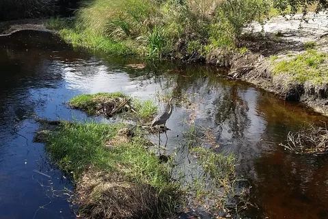 The Great Outdoors RV-Nature and Golf Resort