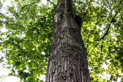 Spring Gap Campground - Chesapeake Ohio Canal National Park