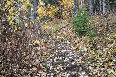 Wekusko Falls Provincial Park
