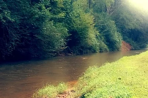 Alabama Gold Camp
