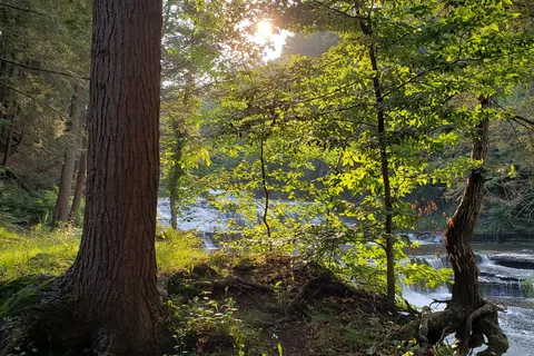 Sun Valley Campsites