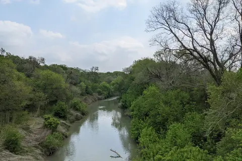 Palmetto State Park