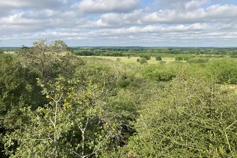 Palmetto State Park