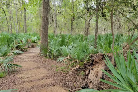 Palmetto State Park
