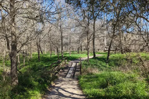 Palmetto State Park