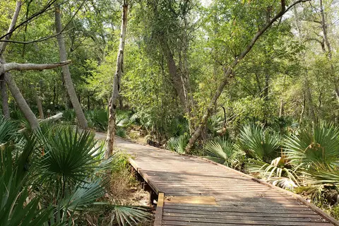 Palmetto State Park