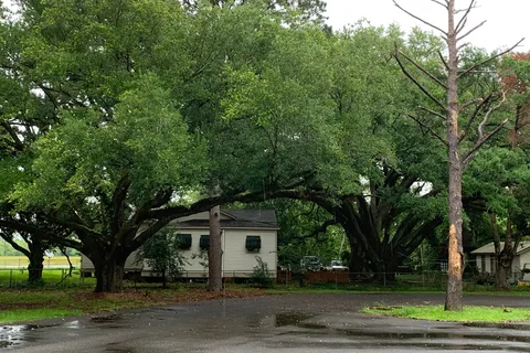 Evangeline Oaks RV Park - Opelousas