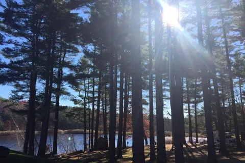 Wilderness Lake Park