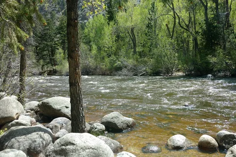 Archer's Poudre River Resort
