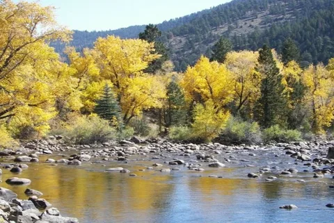 Archer's Poudre River Resort