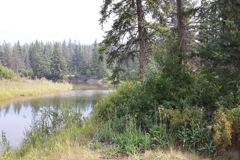 Spruce Grove Resort