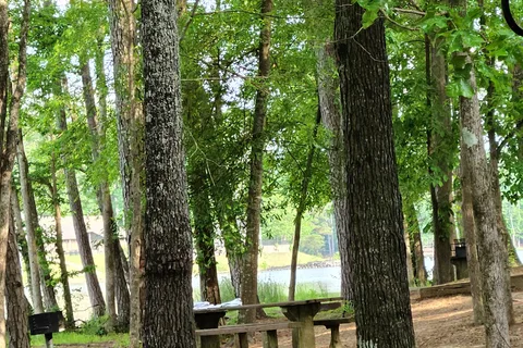 RO Hannah - Roosevelt State Park