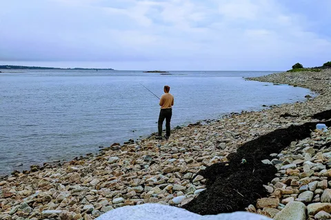 Schoodic Woods Campground - Acadia National Park