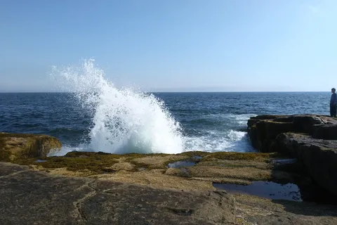 Schoodic Woods Campground - Acadia National Park