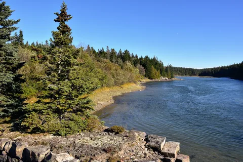 Schoodic Woods Campground - Acadia National Park