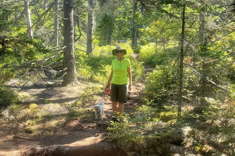 Schoodic Woods Campground - Acadia National Park