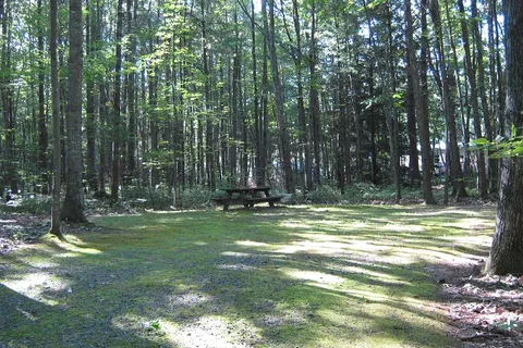 Cascadia Park